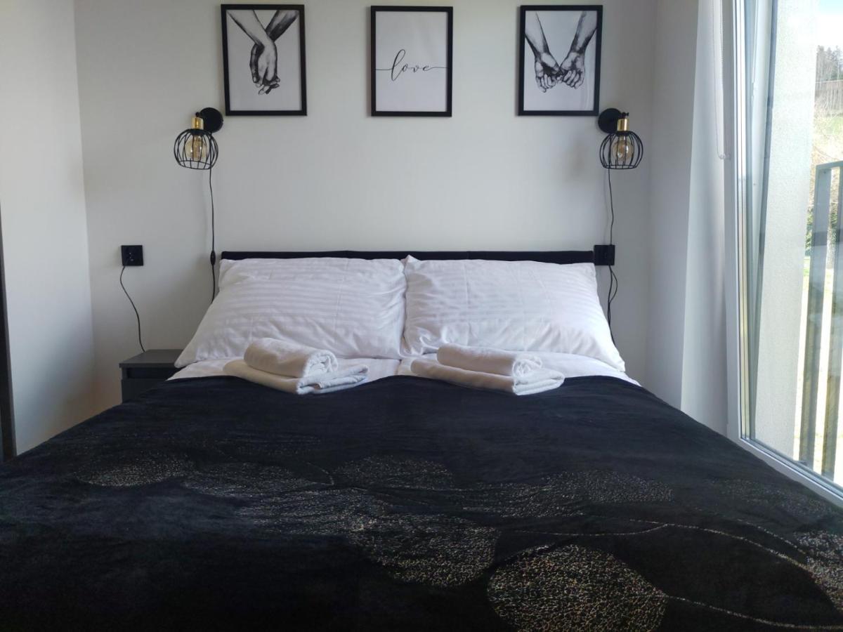Apartament Zuza W Wisle Wisła Zewnętrze zdjęcie